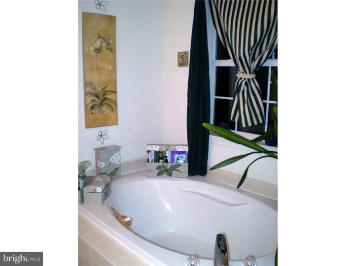 129 Raintree Crossing Hatfield, PA 19440 - Photo 15 of 16 Master Bathroom