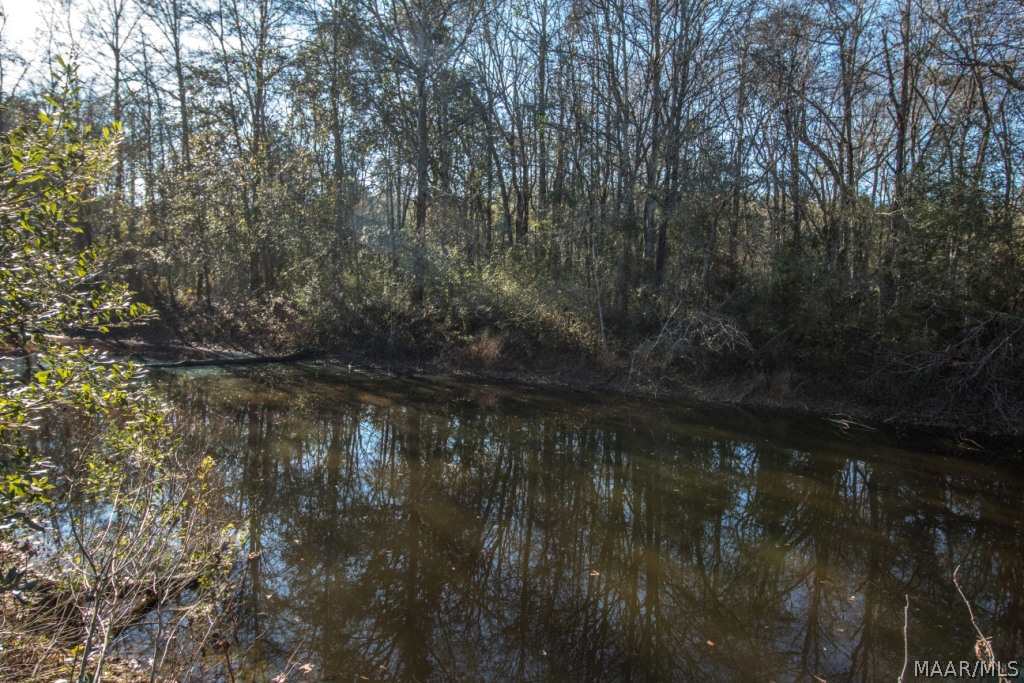 40-acres Austin Road Black, AL 36314 - Photo 21 of 28 Gallery Image 21