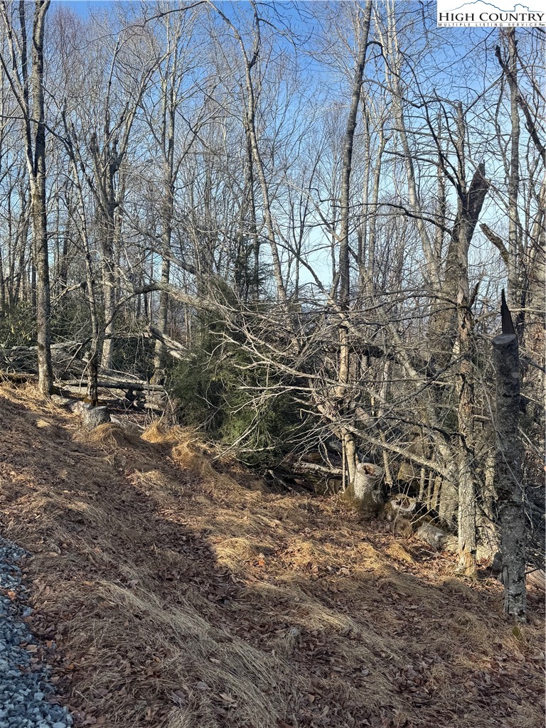 226 Greenbriar Road Beech Mountain, NC 28604 - Photo 2 of 9 a view of outdoor space with a street view
