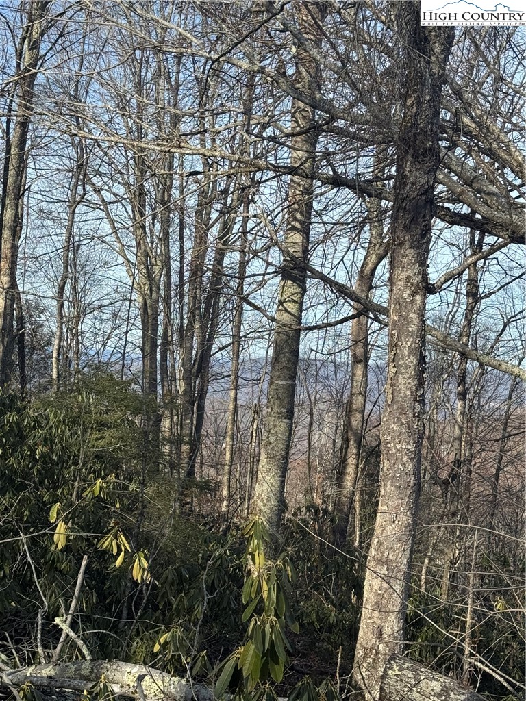 226 Greenbriar Road Beech Mountain, NC 28604 - Photo 3 of 9 a backyard of a house with lots of green space