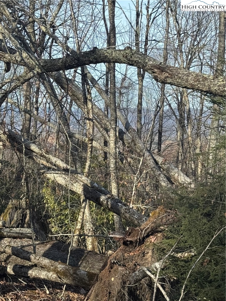 226 Greenbriar Road Beech Mountain, NC 28604 - Photo 5 of 9 a view of staircase with large trees