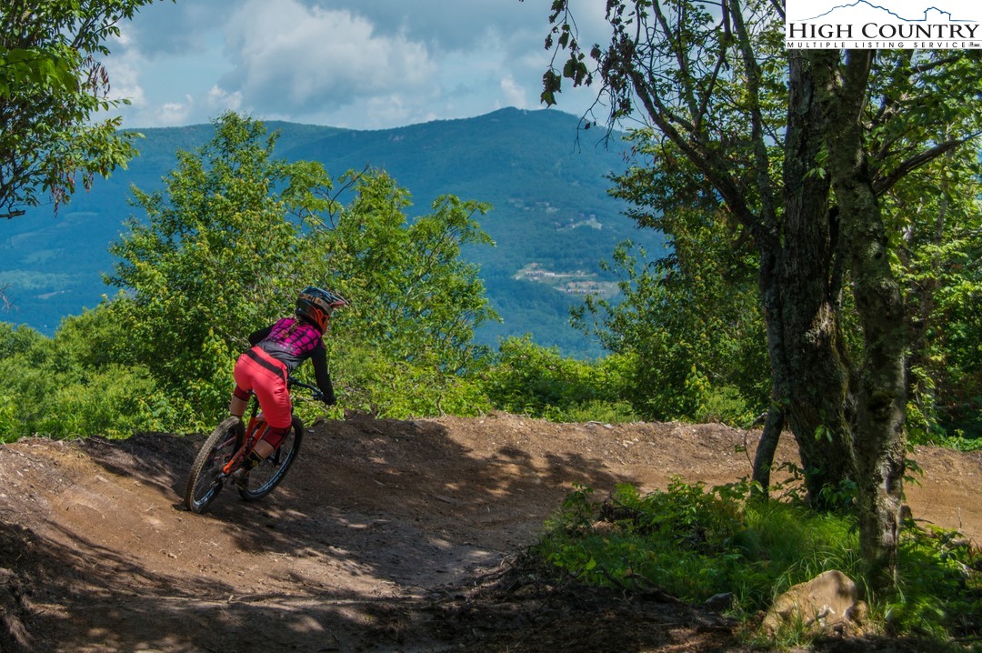 226 Greenbriar Road Beech Mountain, NC 28604 - Photo 8 of 9 a backyard of a house with a yard and outdoor seating