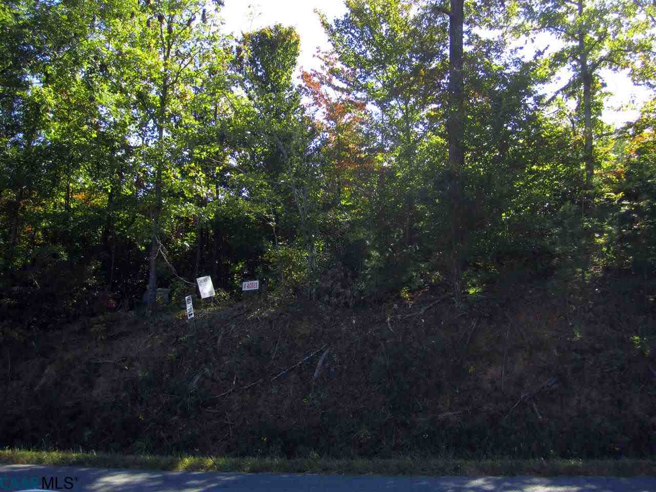 Lot 2 Factory Mill Road Bumpass, VA 23024 - Photo 1 of 1 Gallery Image 1