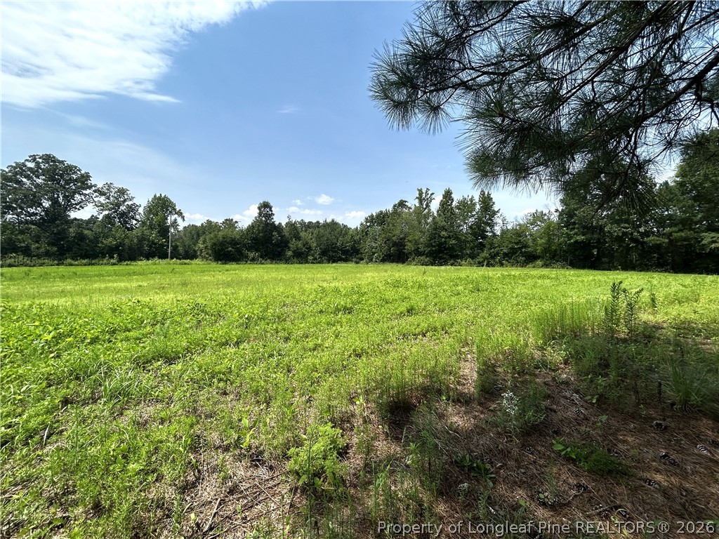 684 Pilson Road Cameron, NC 28326 - Photo 12 of 22 Gallery Image 12