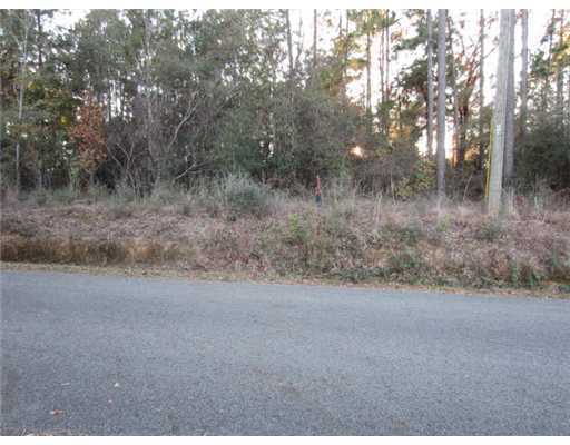 Lot 3 Lot Road Perkinston, MS 39573 - Photo 1 of 3 Primary Photo