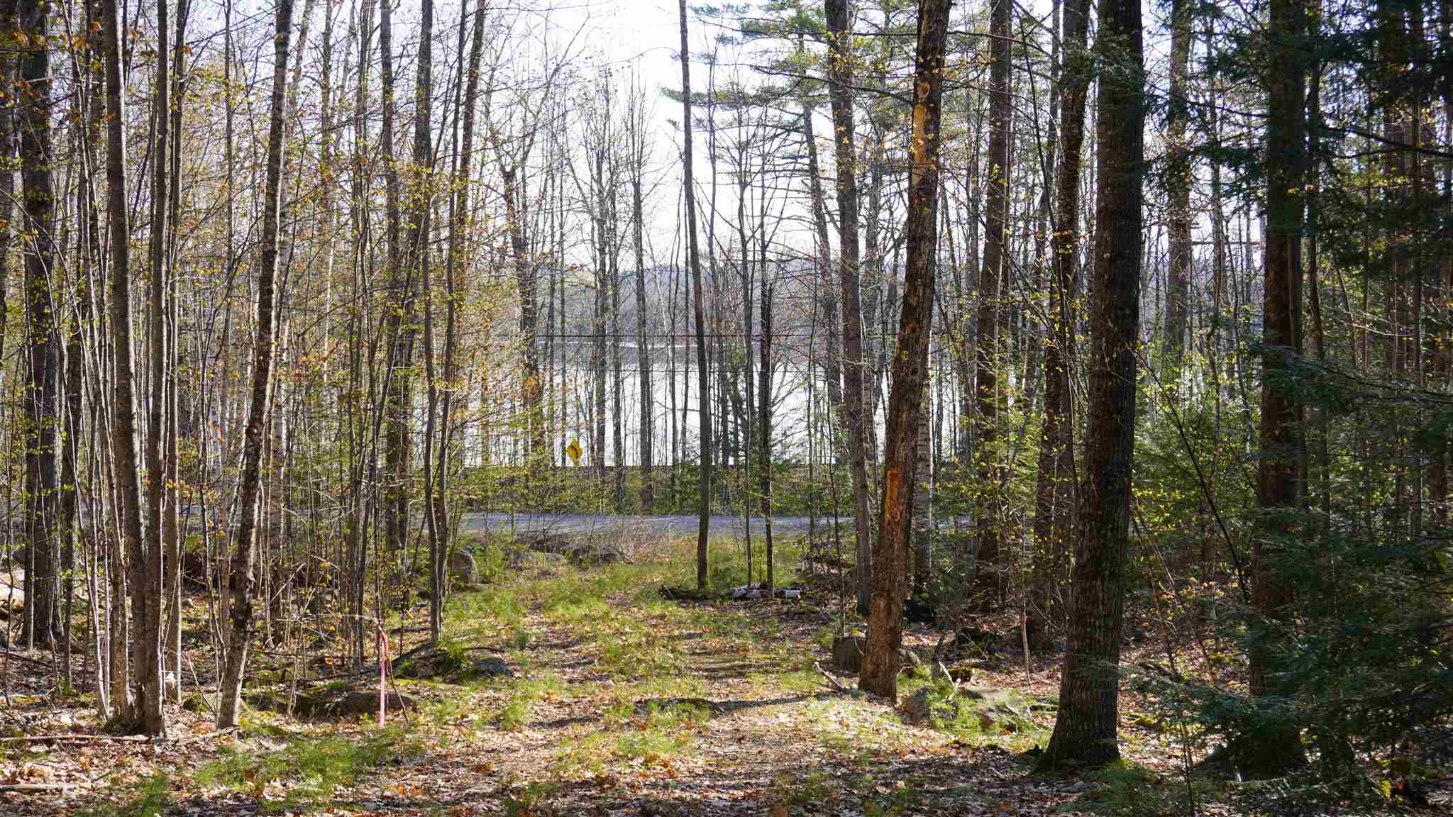 Winona Shores Road Meredith, NH 03253 - Photo 1 of 21