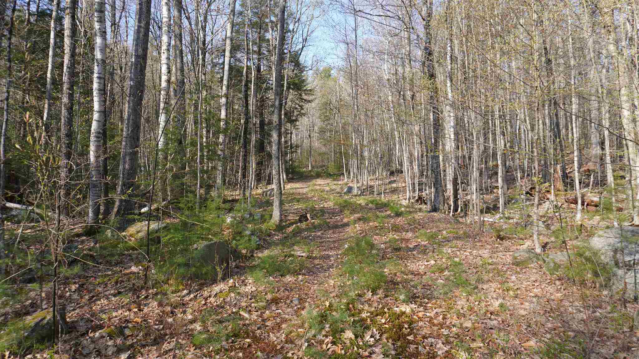 Winona Shores Road Meredith, NH 03253 - Photo 5 of 21