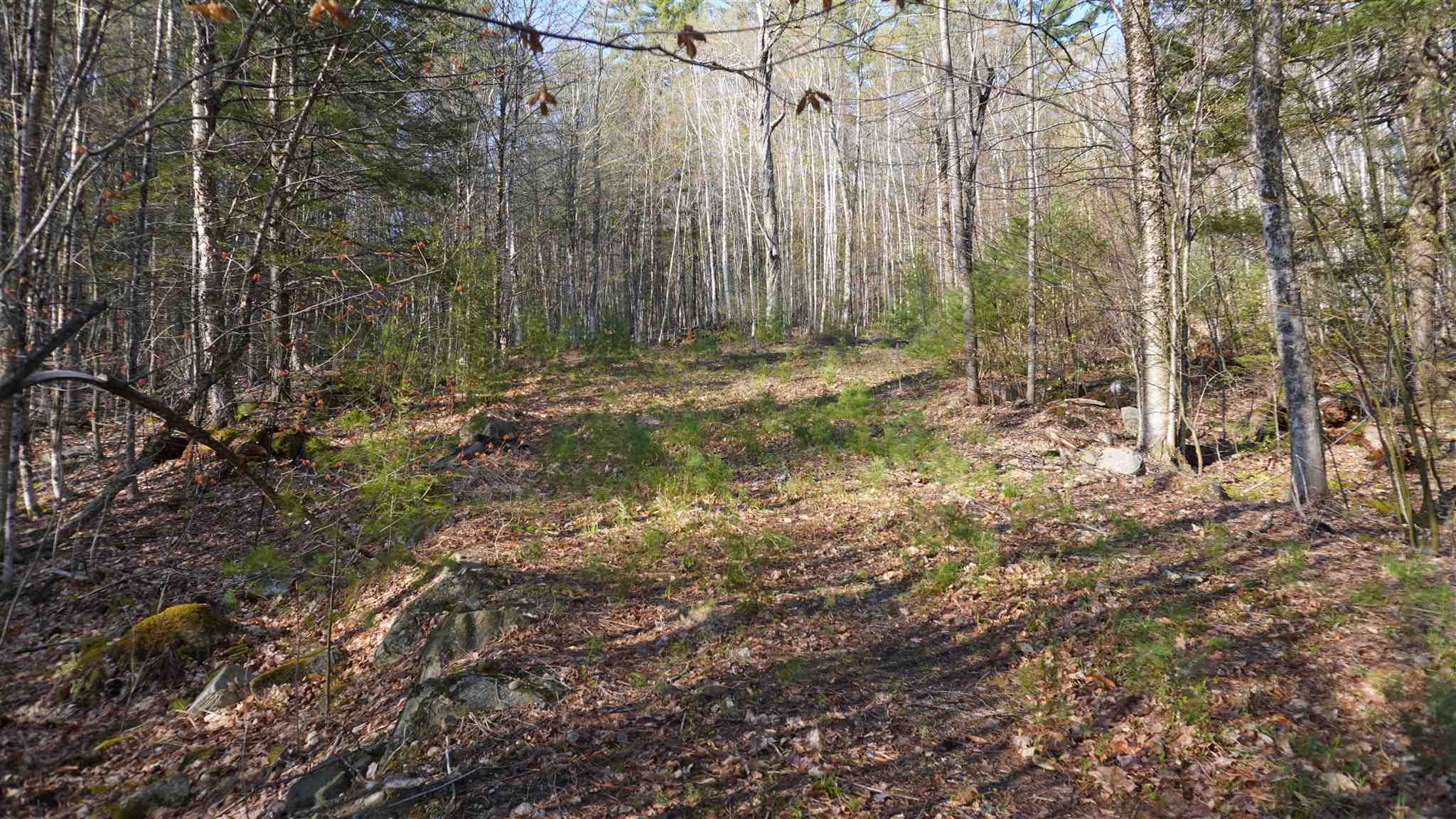 Winona Shores Road Meredith, NH 03253 - Photo 6 of 21