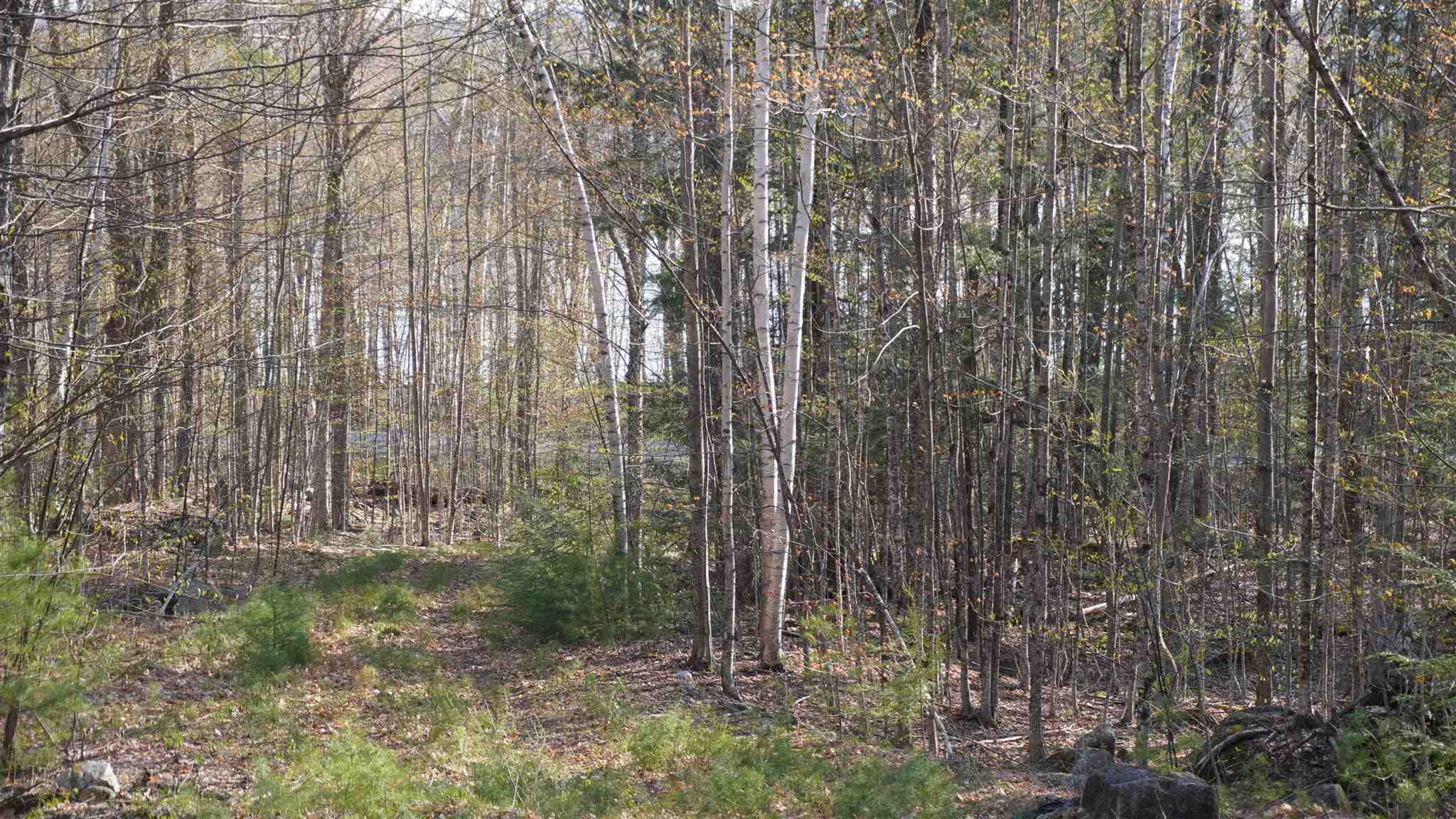 Winona Shores Road Meredith, NH 03253 - Photo 8 of 21