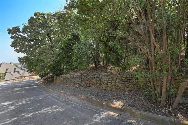 a view of a forest with trees in the background