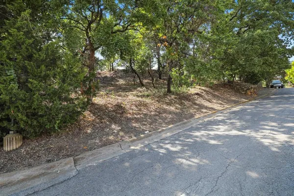 a view of a forest with trees