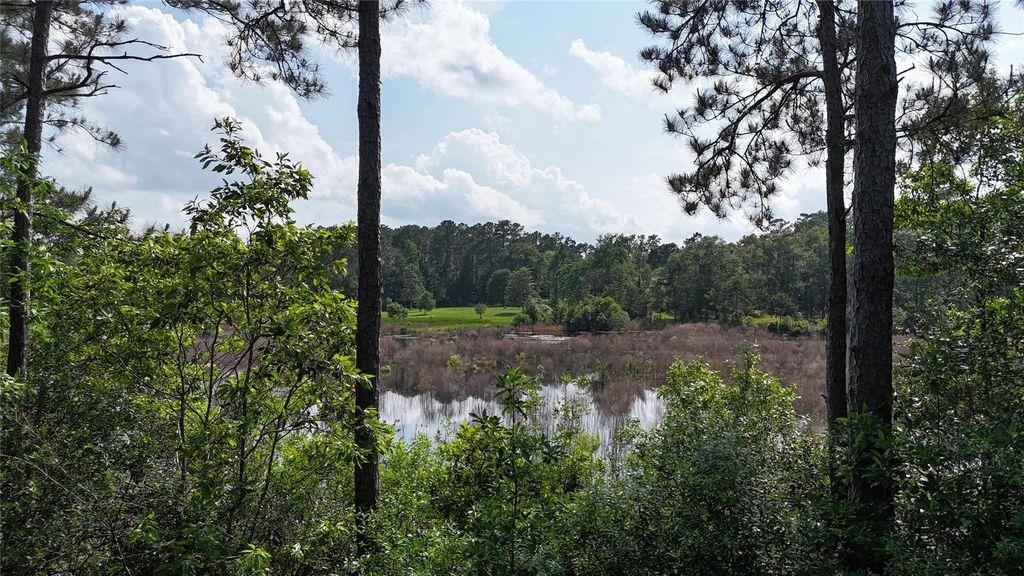 345 Private Road Hillister, TX 77624 - Photo 50 of 50
