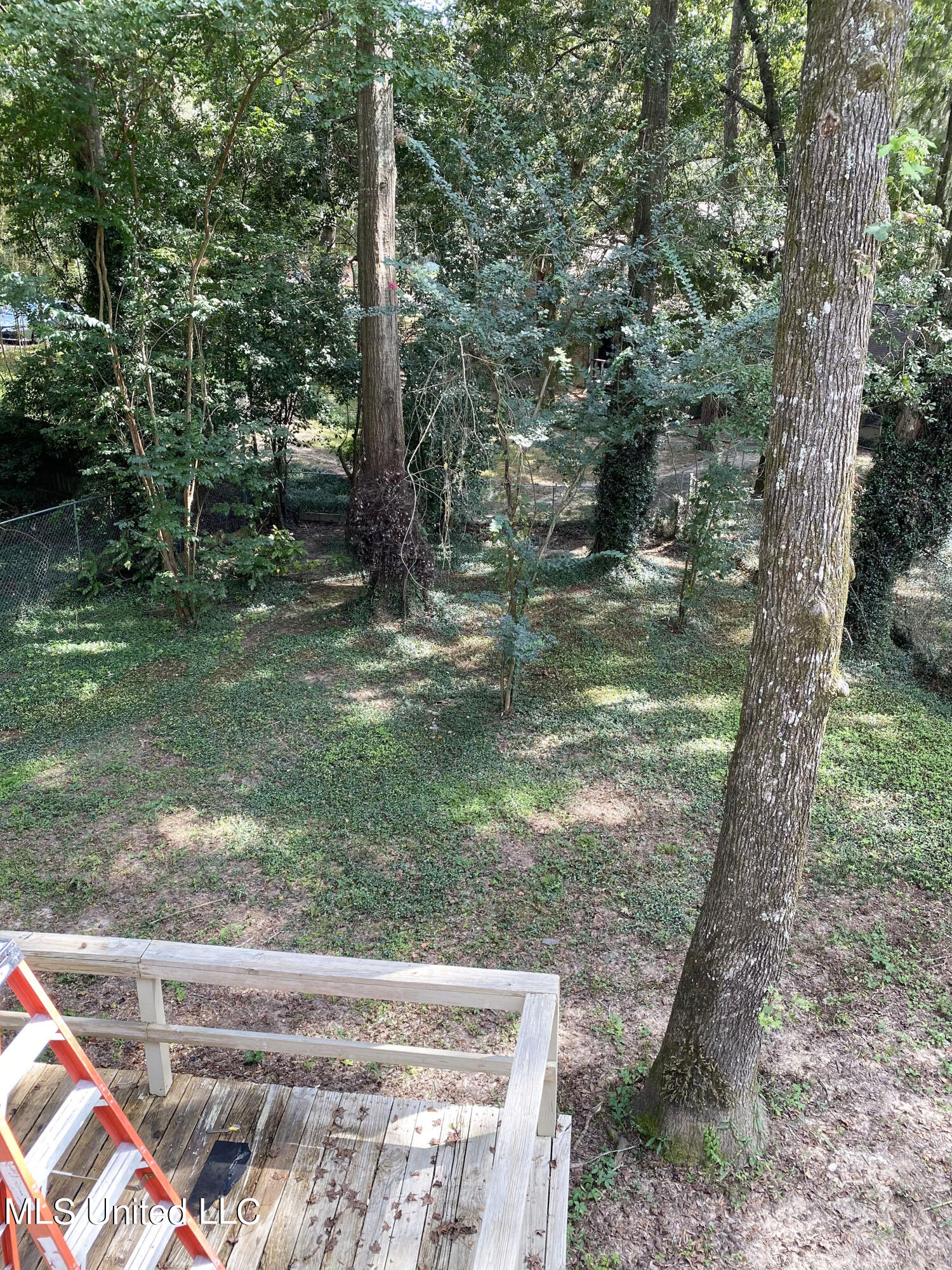 305 Camp Garaywa Road Clinton, MS 39056 - Photo 21 of 21 IMG_6684