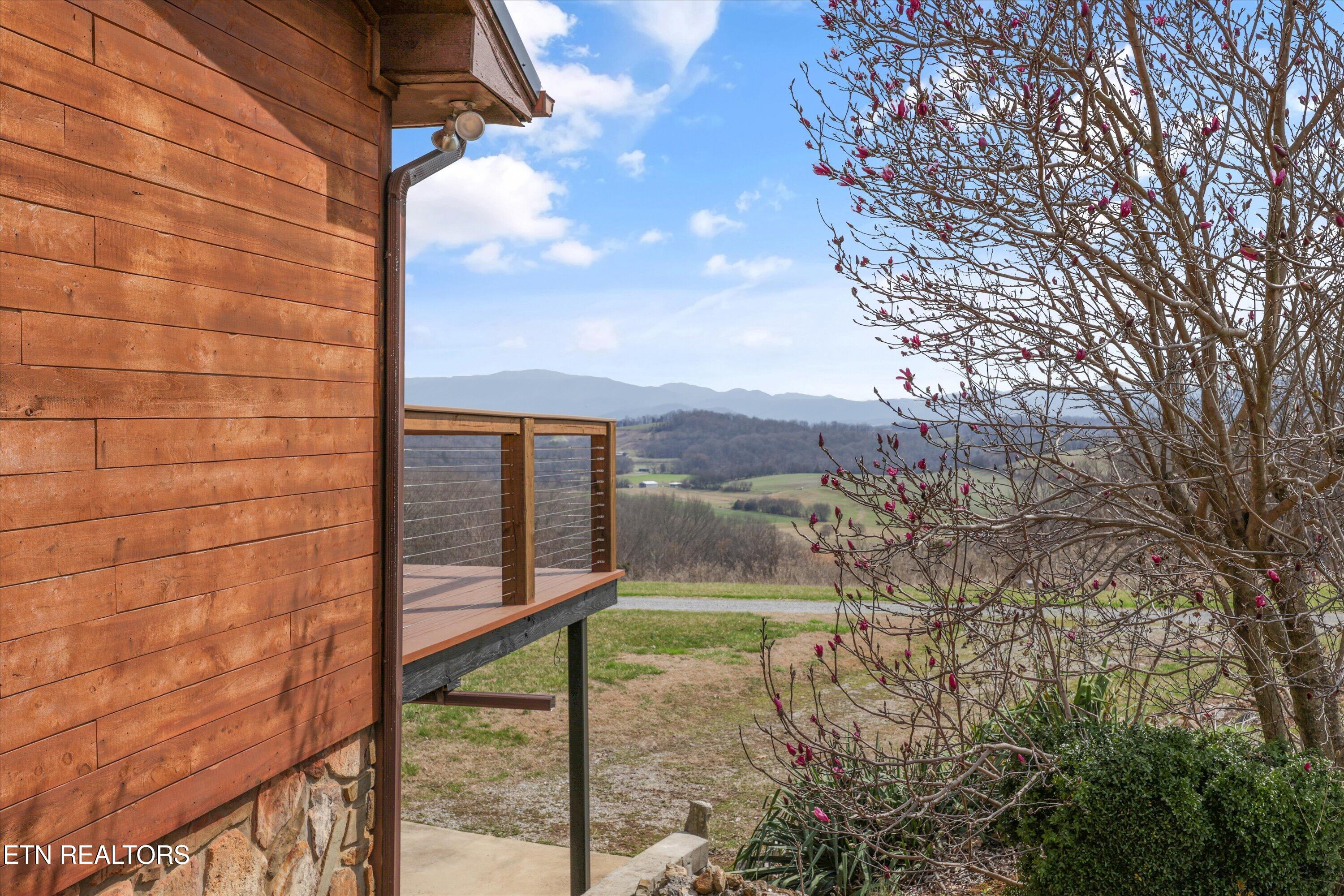 680 Bright Hope Road Greeneville, TN 37743 - Photo 25 of 46 24-680 Bright Hope Rd22