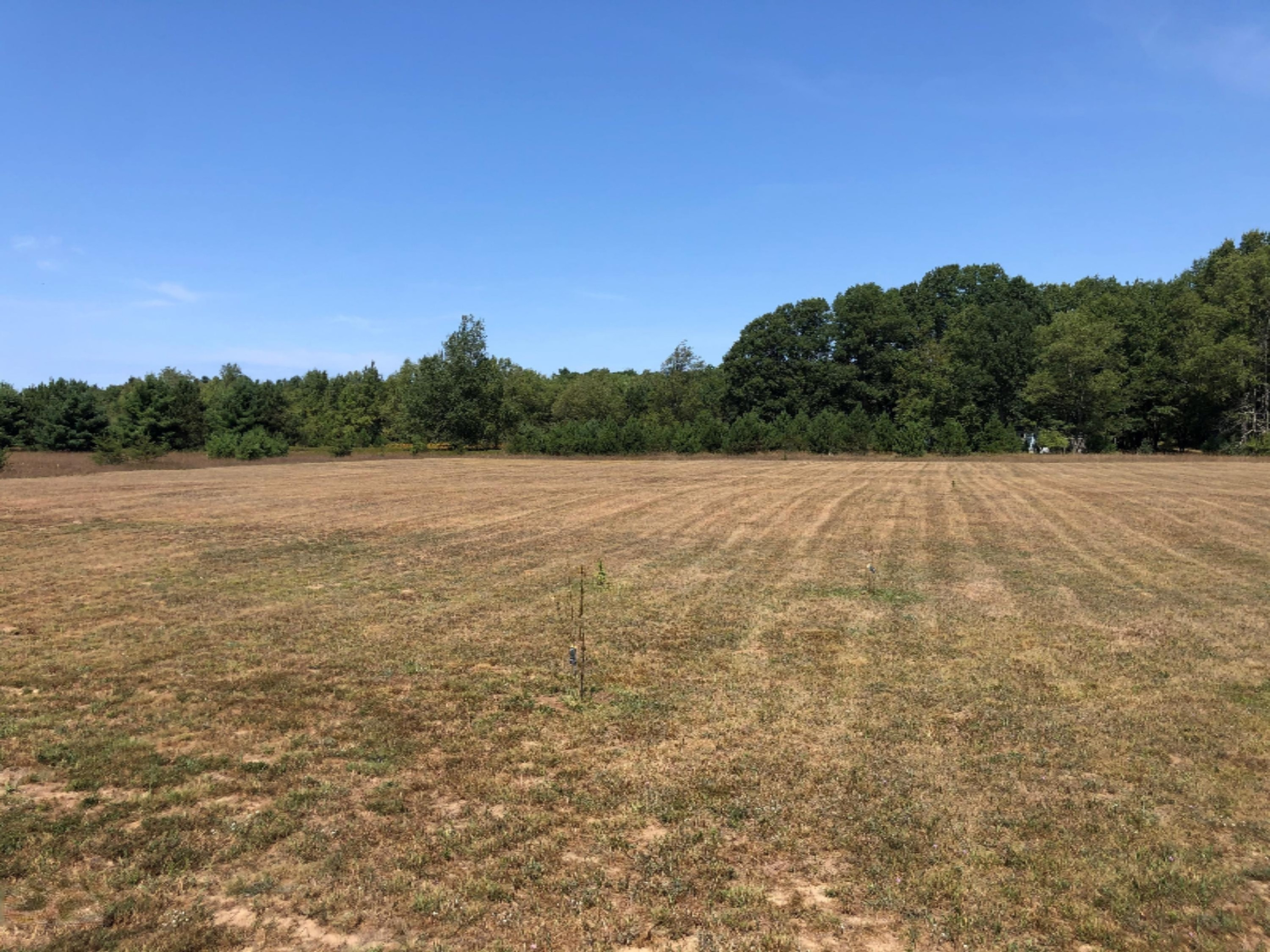 5000 River Road Manistee, MI 49660 - Photo 26 of 29 Land
