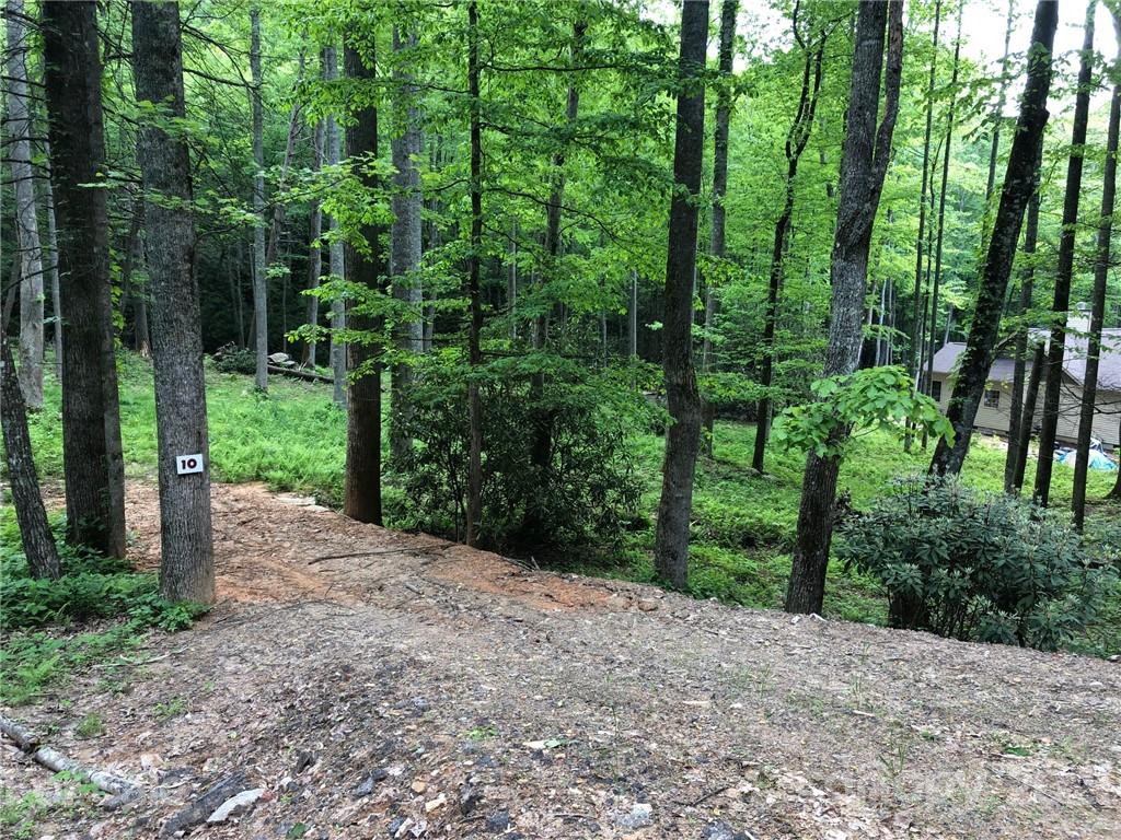 1060 Wash Freeman Road Hendersonville, NC 28792 - Photo 2 of 24 Gallery Image 2