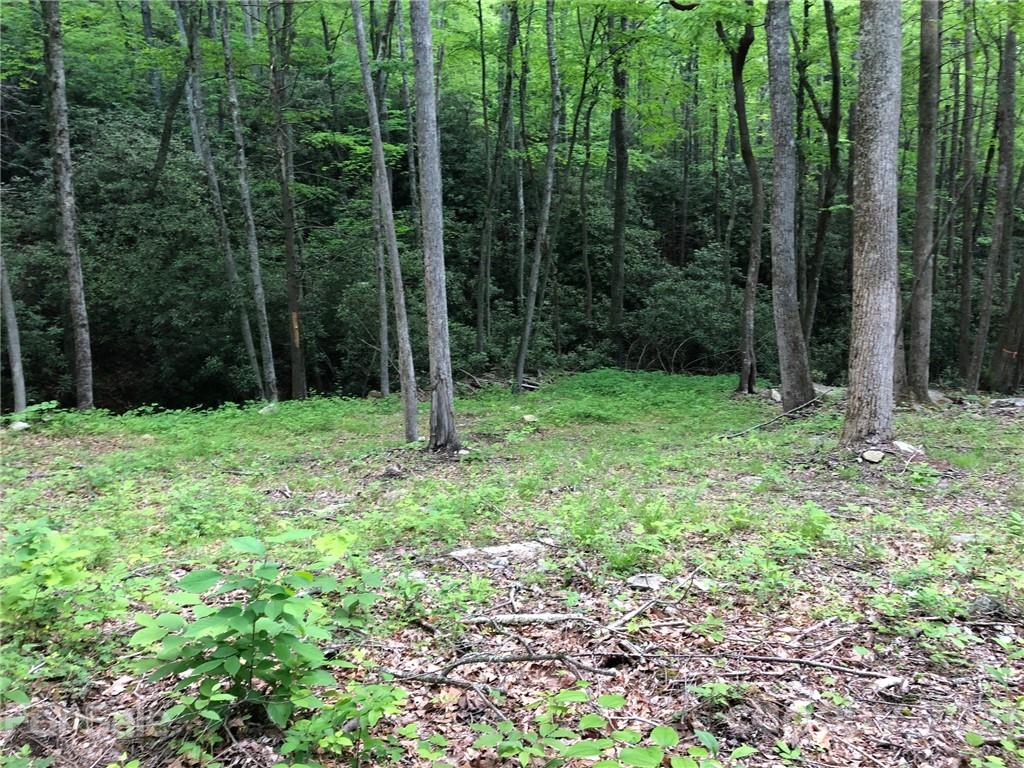 1060 Wash Freeman Road Hendersonville, NC 28792 - Photo 11 of 24 Gallery Image 11