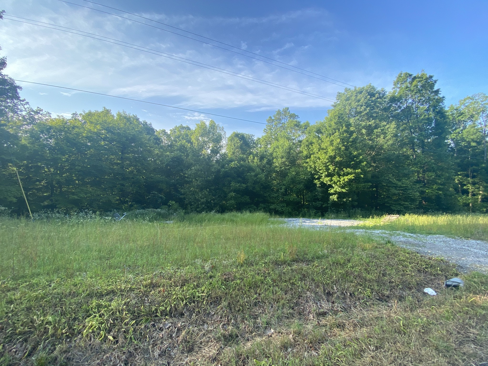 4199 Lylewood Road Indian Mound, TN 37079 - Photo 3 of 8