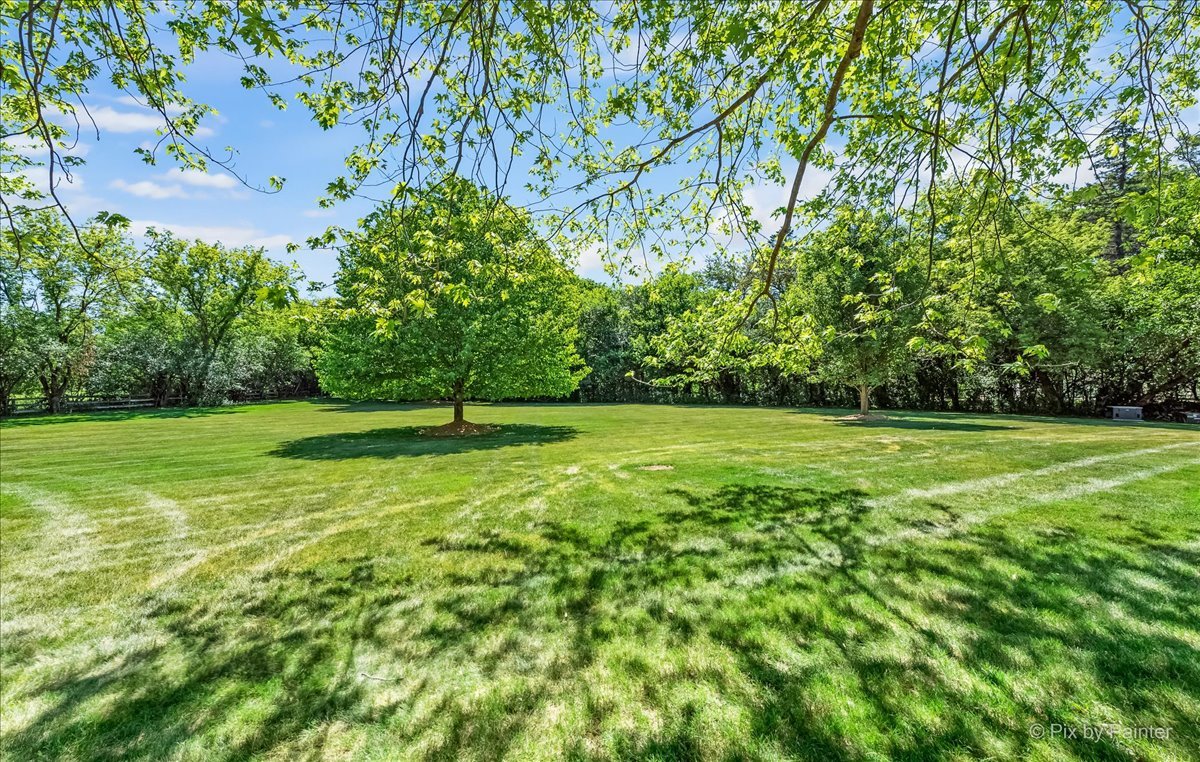 589 Plum Tree Road Barrington Hills, IL 60010 - Photo 40 of 46 a view of a garden with a tree