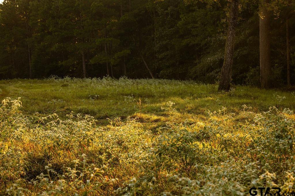 Lot 61 Fm 2015 Tyler, TX 75708 - Photo 1 of 15