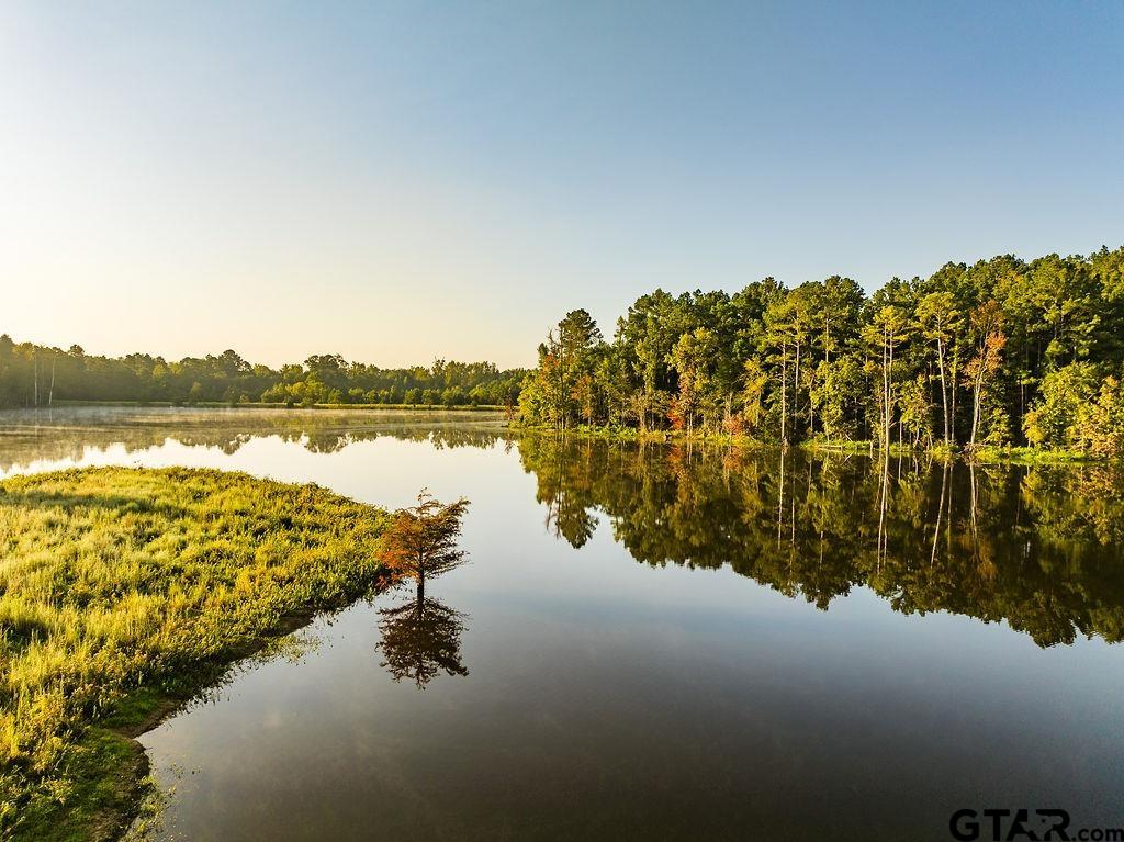 Lot 61 Fm 2015 Tyler, TX 75708 - Photo 14 of 15