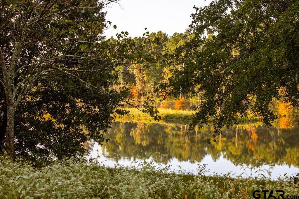 Lot 61 Fm 2015 Tyler, TX 75708 - Photo 3 of 15