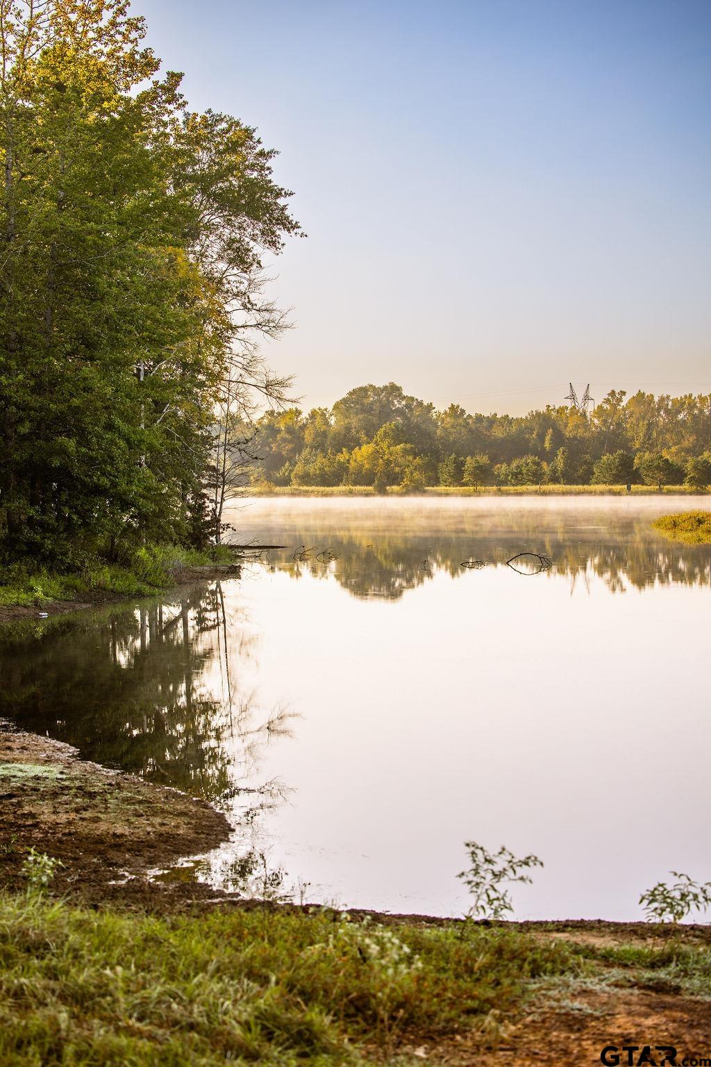 Lot 61 Fm 2015 Tyler, TX 75708 - Photo 4 of 15