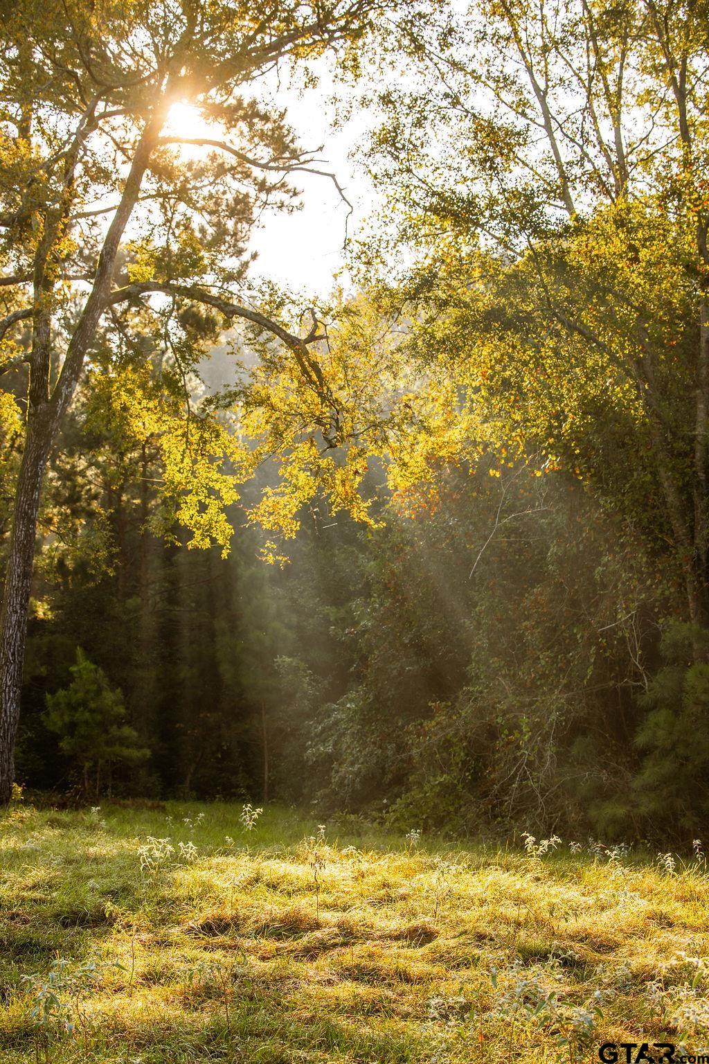 Lot 61 Fm 2015 Tyler, TX 75708 - Photo 5 of 15