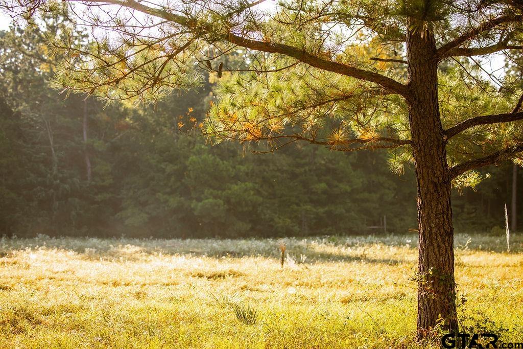 Lot 61 Fm 2015 Tyler, TX 75708 - Photo 7 of 15