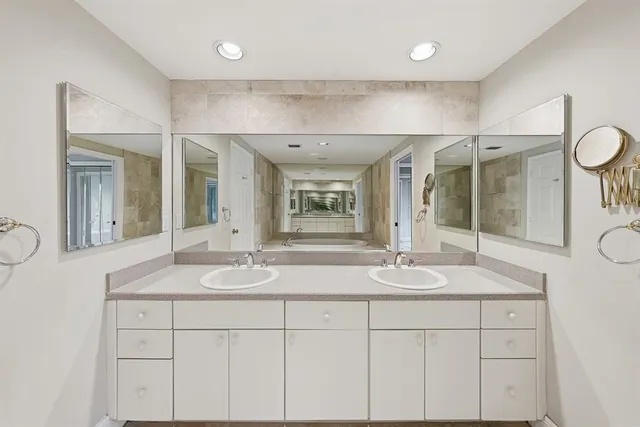 a view of a yard with plants and large trees