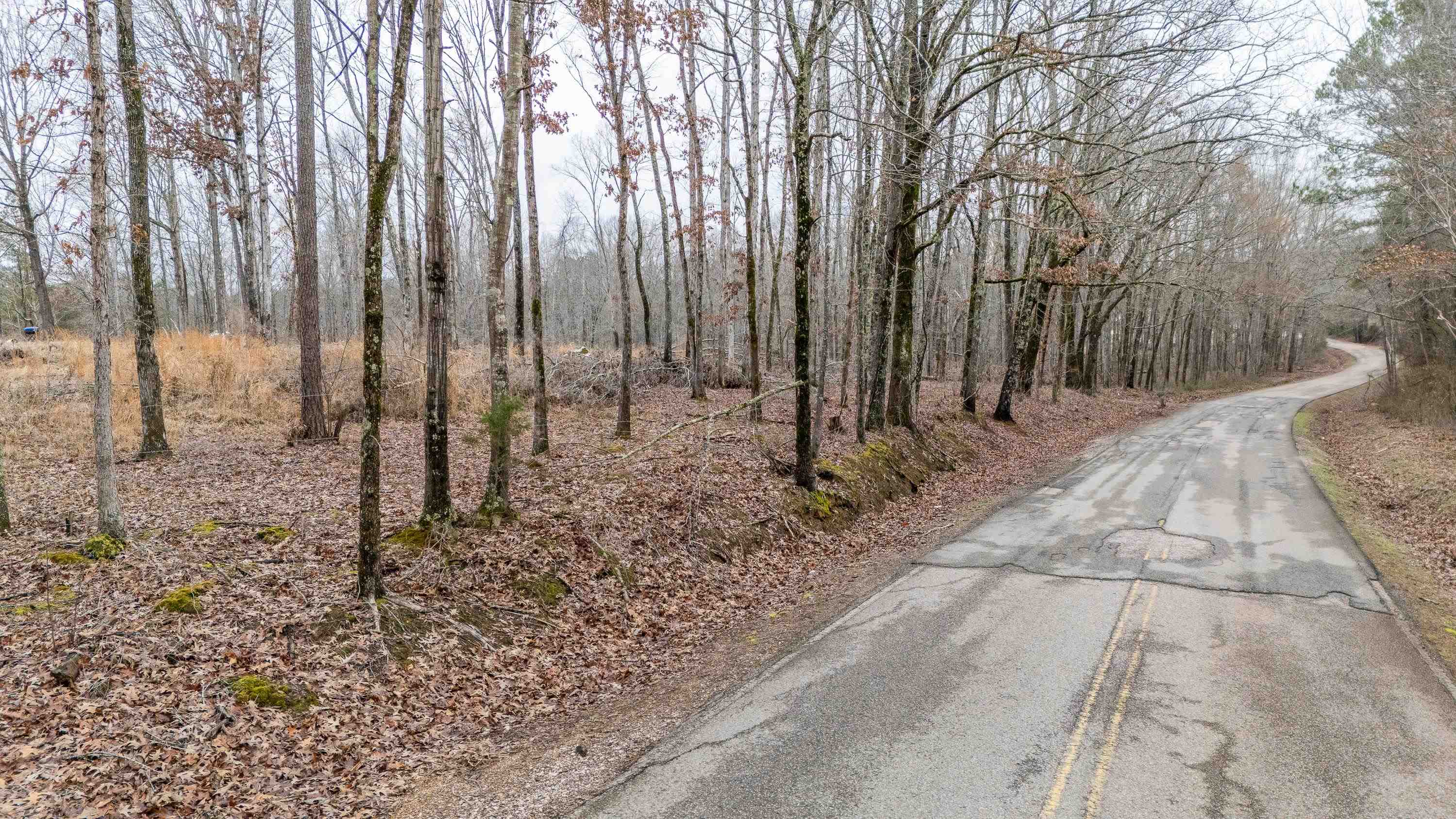 705 Post Office Road Michie, TN 38357 - Photo 2 of 8 View of road