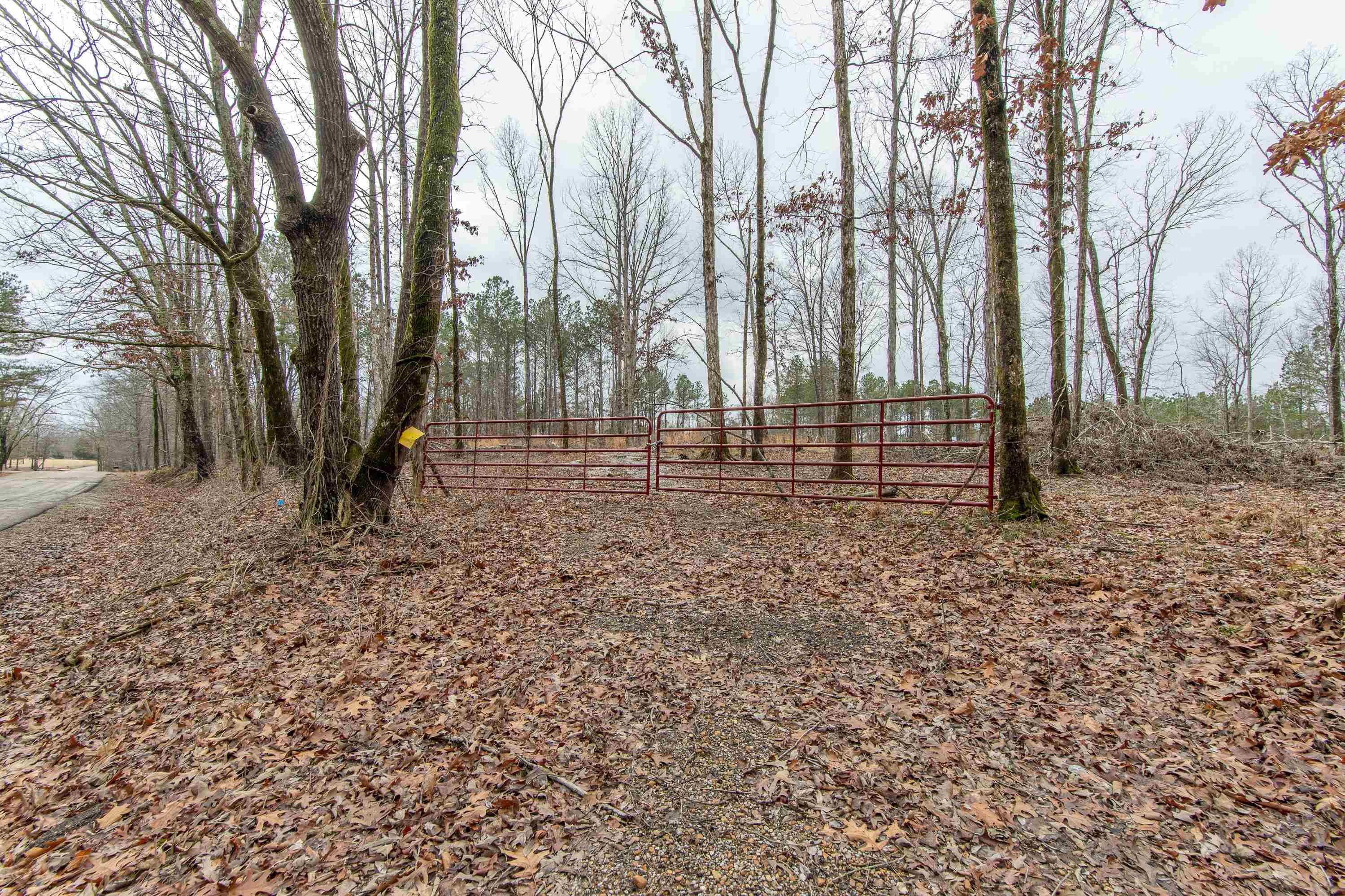 705 Post Office Road Michie, TN 38357 - Photo 5 of 8 View of yard featuring fence
