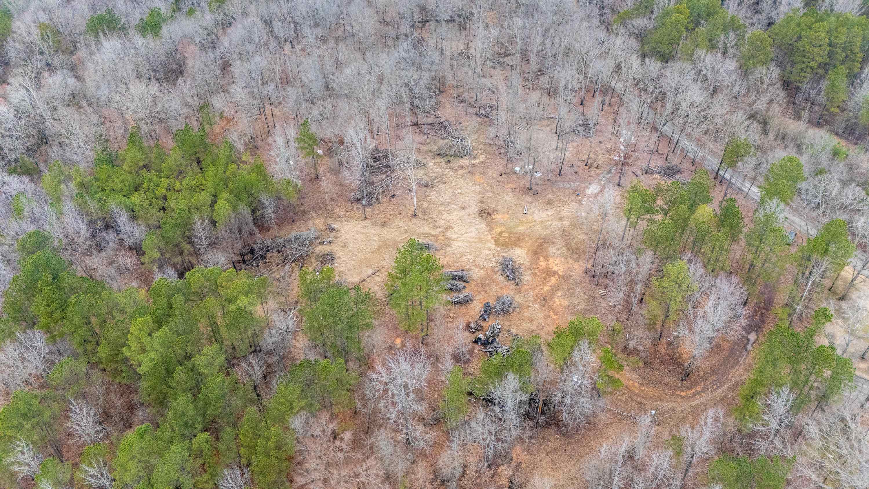 705 Post Office Road Michie, TN 38357 - Photo 5 of 8 Drone / aerial view