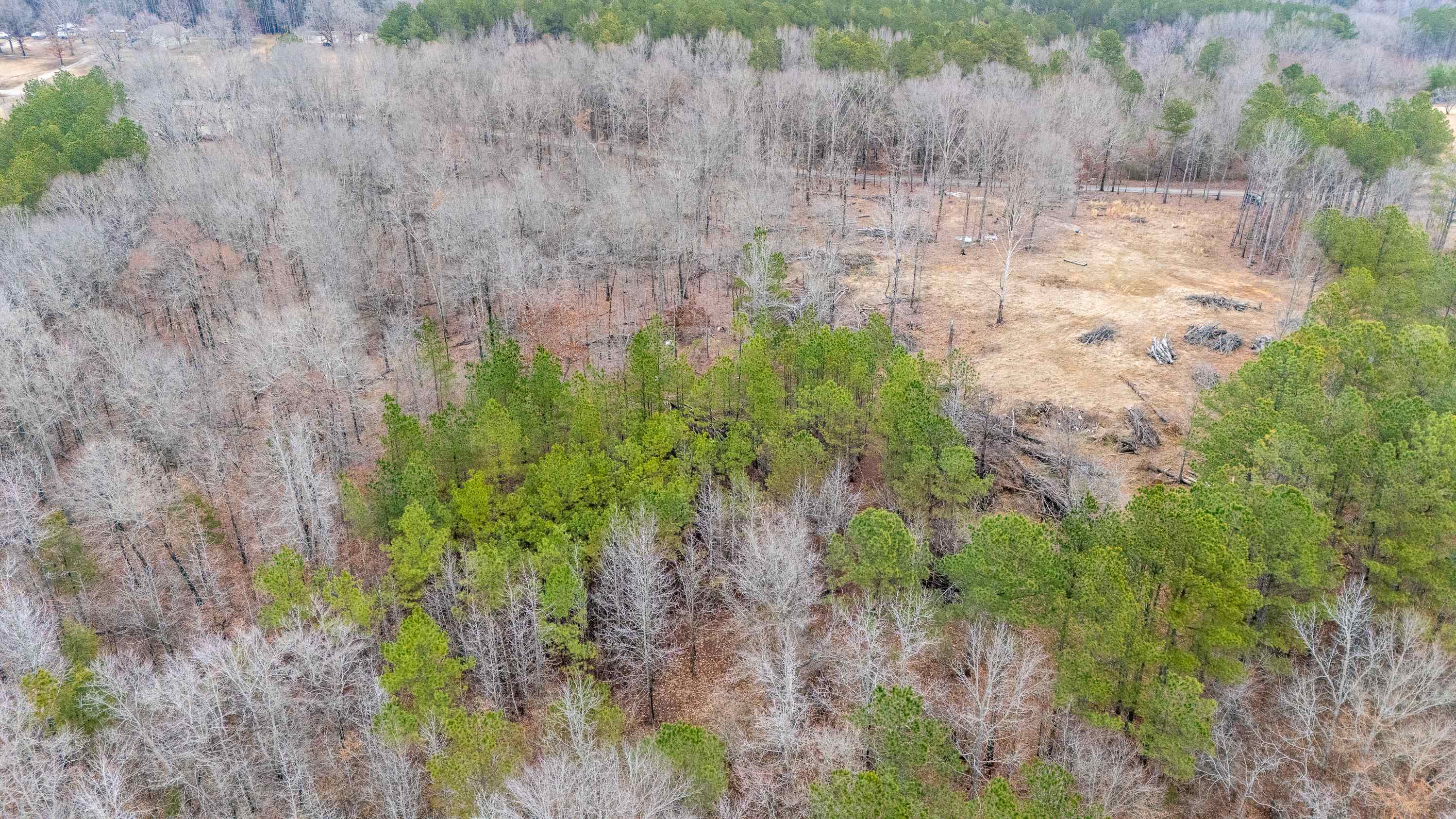 705 Post Office Road Michie, TN 38357 - Photo 6 of 8 Birds eye view of property with a wooded view