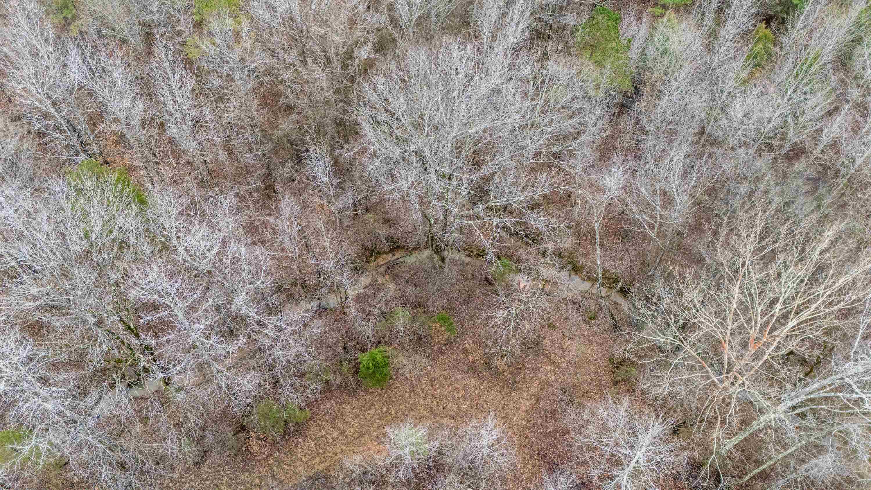 705 Post Office Road Michie, TN 38357 - Photo 7 of 8 Birds eye view of property