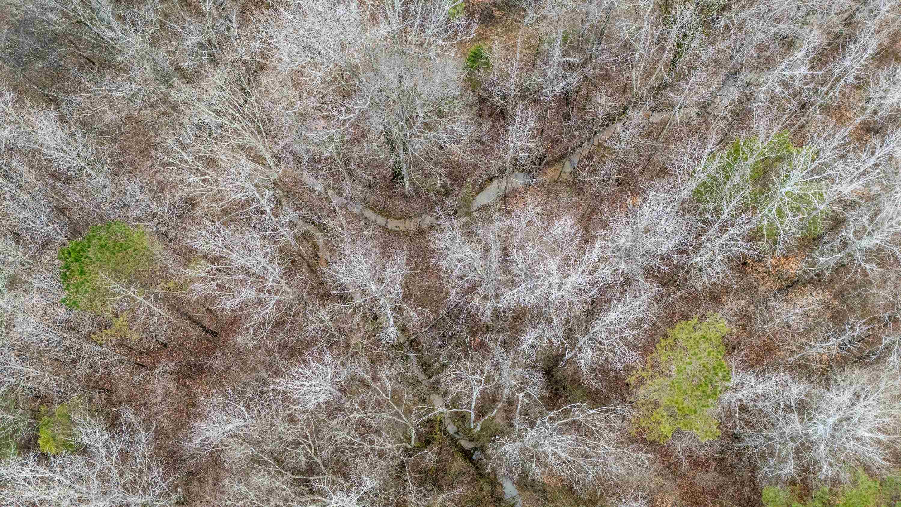 705 Post Office Road Michie, TN 38357 - Photo 8 of 8 Drone / aerial view