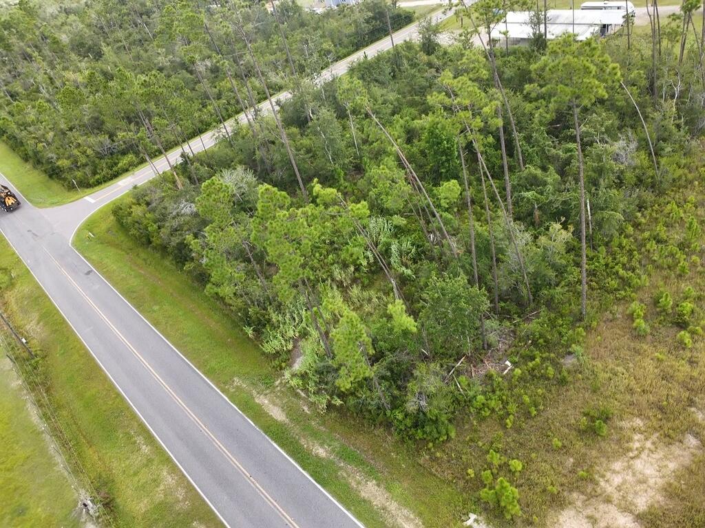 Lot 1 Borders Road Wewahitchka, FL 32465 - Photo 4 of 8 Gallery Image 4