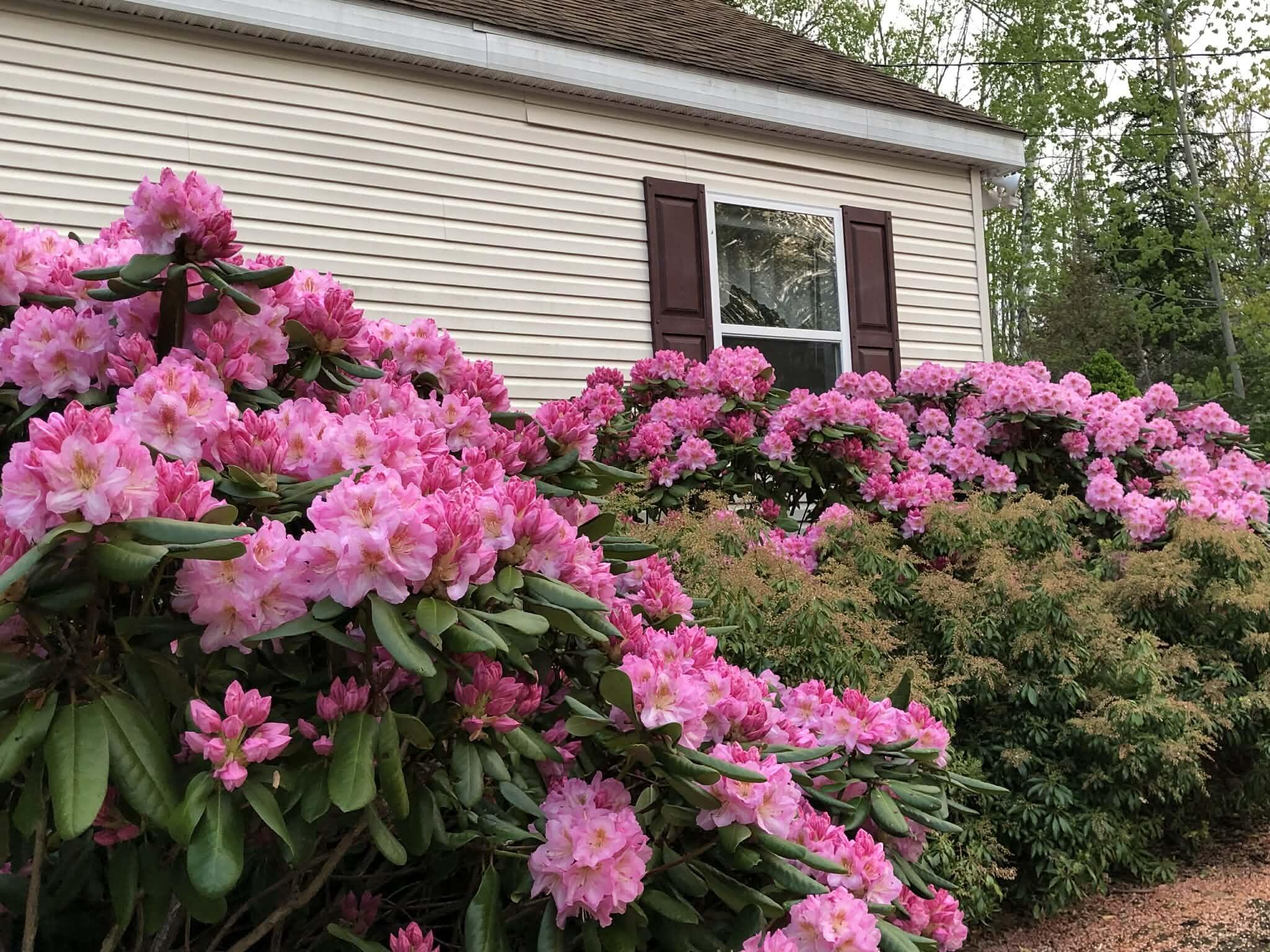 407 Waldoboro Road Friendship, ME 04547 - Photo 43 of 79 flowers
