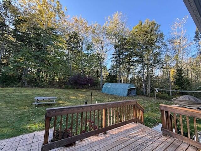 407 Waldoboro Road Friendship, ME 04547 - Photo 44 of 64 back yard