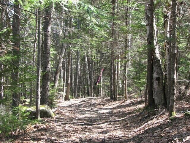407 Waldoboro Road Friendship, ME 04547 - Photo 45 of 64 land trails