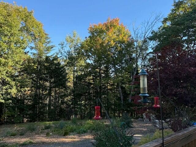 407 Waldoboro Road Friendship, ME 04547 - Photo 62 of 79 yard