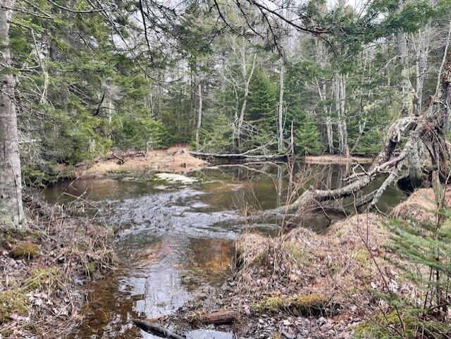407 Waldoboro Road Friendship, ME 04547 - Photo 72 of 79 e84fd140-19e6-4cab-ac1a-5db9ba6e71fa