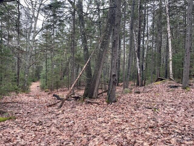 407 Waldoboro Road Friendship, ME 04547 - Photo 74 of 79 15d15e34-3f78-4ac2-9d09-bb81346fa842