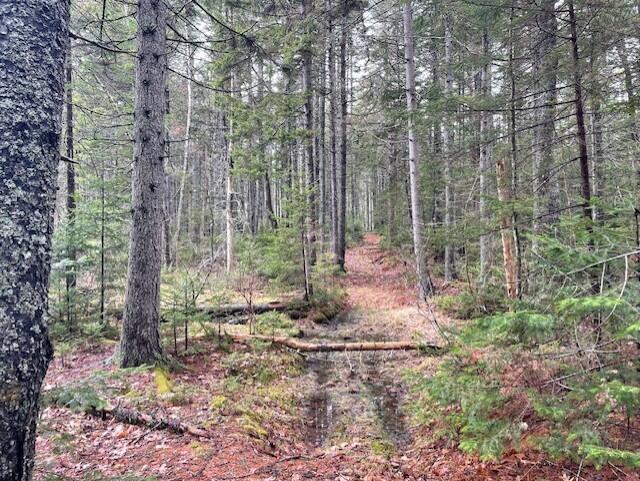 407 Waldoboro Road Friendship, ME 04547 - Photo 76 of 79 63c6bed9-5058-4bdc-94e1-5b208efc0ebb