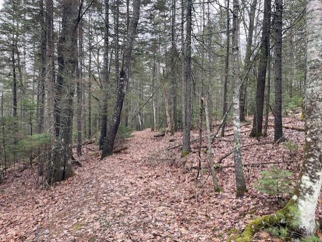 407 Waldoboro Road Friendship, ME 04547 - Photo 78 of 79 066868a4-fbbf-404e-b77b-c9a6026efc39