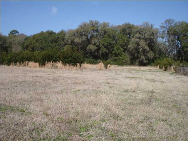 945 Walwood Road Edisto Island, SC 29438 - Photo 1 of 7 Primary Photo