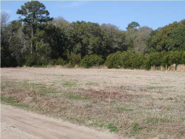 945 Walwood Road Edisto Island, SC 29438 - Photo 2 of 7 Additional Photo