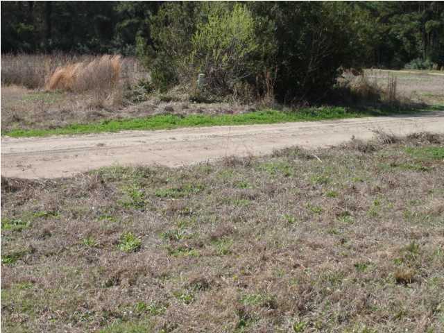 945 Walwood Road Edisto Island, SC 29438 - Photo 4 of 7 Additional Photo