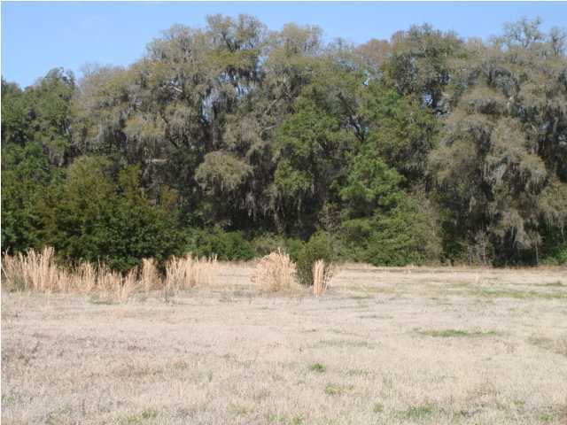 945 Walwood Road Edisto Island, SC 29438 - Photo 5 of 7 Additional Photo