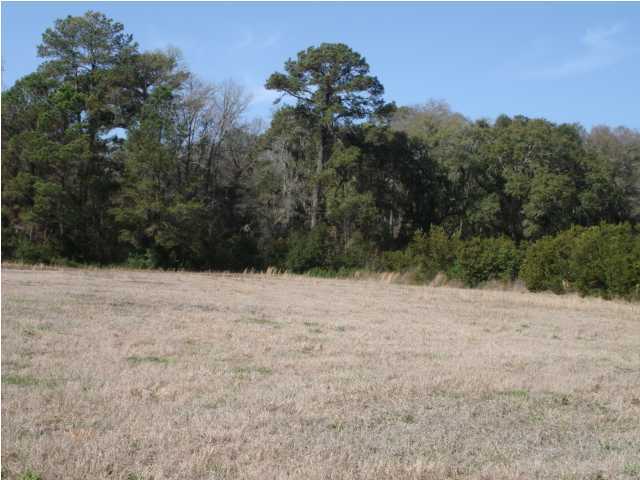 945 Walwood Road Edisto Island, SC 29438 - Photo 6 of 7 Additional Photo